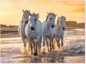 Muurdecoratie buiten Paarden - Water - Strand - Dieren - 160x120 cm - Tuindoek - Buitenposter