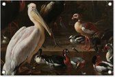 Tuindecoratie Een pelikaan en ander gevogelte bij een waterbassin - Schilderij van Melchior d'Hondecoeter - 60x40 cm - Tuinposter - Tuindoek - Buitenposter