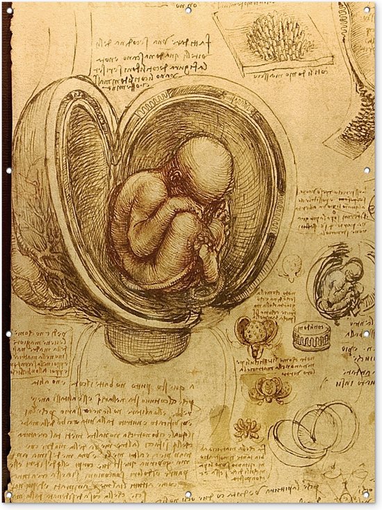 Muurdecoratie buiten Baby in the womb - Leonardo da Vinci - 120x160 cm - Tuindoek - Buitenposter
