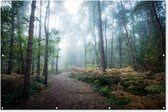 Muurdecoratie Bos - Mist - Pad - 180x120 cm - Tuinposter - Tuindoek - Buitenposter