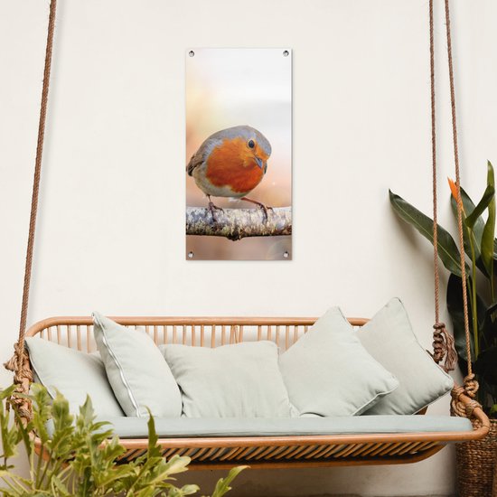 Affiche de jardin Robin - Branche - Arbre - 40x80 cm - Décoration murale Extérieur - Affiche de jardin - Toile de jardin - Affiche de clôture - Peinture de jardin
