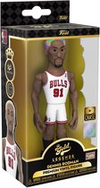 Funko Gold Legends: NBA Bulls - Dennis Rodman 5" Premium Vinyl figuur (kans op speciale Chase editie)