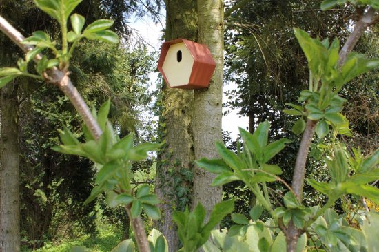 Capi Europe - Vogelhuisje rond Hive - 19x23x20 - Antraciet - Capi ...