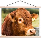Posterhanger incl. Poster 40x30 cm - Schoolplaat - Schotse Hooglander - Berg - Hek - Textielposter - Blanke latten