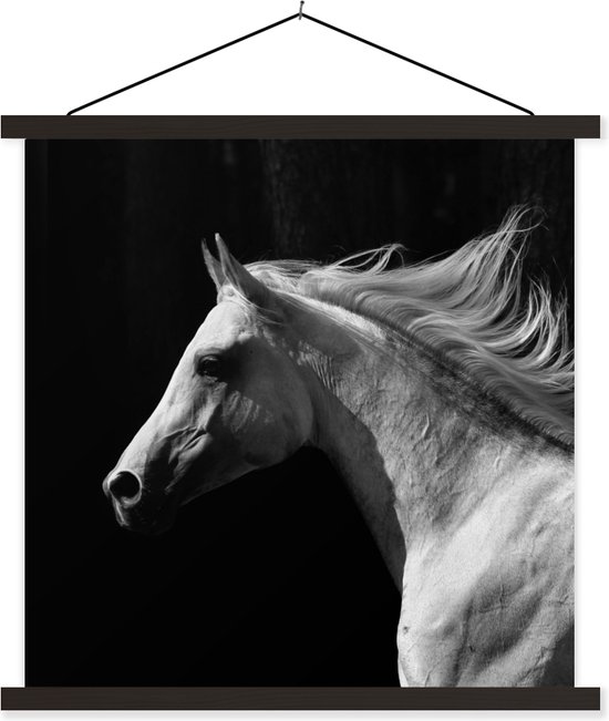 Porte-affiche avec affiche - Affiche scolaire - Paarden - Animaux de la ferme - Crinière - 60x60 cm - Lattes noires
