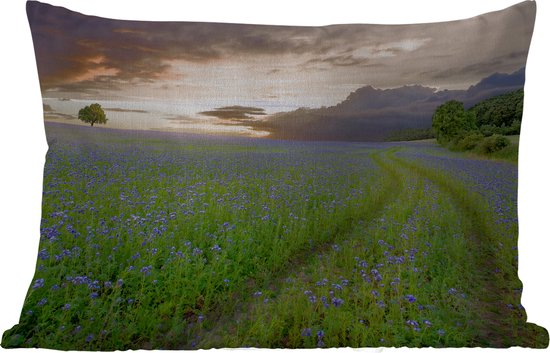 Buitenkussens - Tuin - Blauwe en paarse bloemen zonsondergang - 50x30 cm