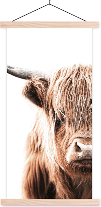 Posterhanger incl. Poster - Schoolplaat - Schotse hooglander - Koe - Dieren - 60x120 cm - Blanke latten