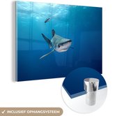 MuchoWow® Glasschilderij 180x120 cm - Schilderij acrylglas - Grote blauwe haai - Foto op glas - Schilderijen