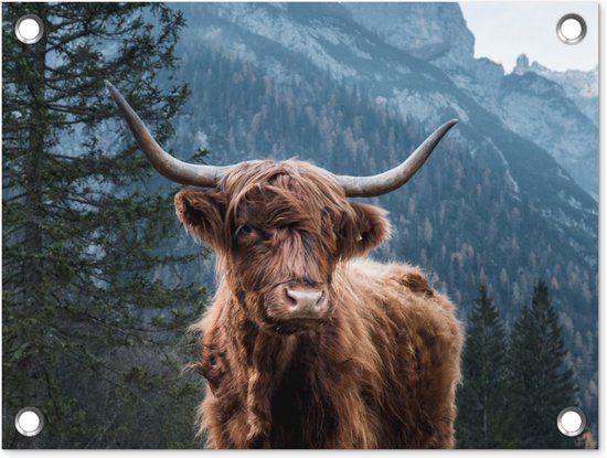 Tuin decoratie Schotse hooglander - Bos - Bergen - 40x30 cm - Tuindoek - Buitenposter
