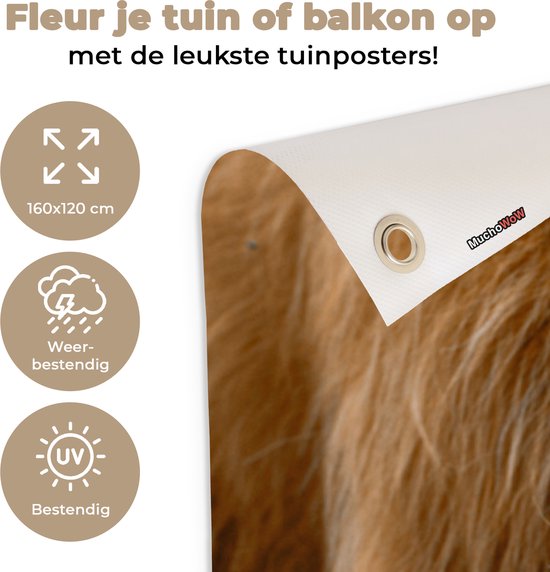 Décoration murale extérieur Highlander écossais - Fleurs - Vache - 160x120 cm