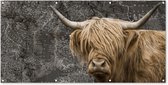 Wanddecoratie buiten Schotse hooglander - Wereldkaart - Dieren - 160x80 cm - Tuindoek - Buitenposter