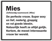 Mies Woordenboek Grappig Fotolijst met glas 40 x 50 cm - Cadeau - Kado - Schilderij - Muur - Verjaardag - foto - Poster - incl ophangsysteem