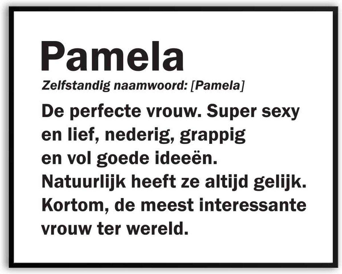 Pamela Woordenboek Grappig Fotolijst met glas 50 x 70 cm - Cadeau - Kado - Schilderij - Mu