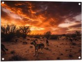 Tuinposter – Dieren - Honden - Landschap - Zonsondergang - Planten - 80x60 cm Foto op Tuinposter (wanddecoratie voor buiten en binnen)
