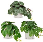 Set van 3 kunstplanten, hangende decoratieve planten in keramische pot, mini-kunstplant en decoratie, modern voor thuiskantoor, badkamer, keuken en interieurdecoratie