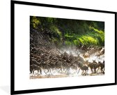 Affiche avec cadre Parc national du Serengeti - Lion chasse les animaux sauvages dans le parc national du Serengeti cadre photo noir avec passe-partout blanc xxl - cadre photo noir - 120x80 cm - Affiche avec cadre