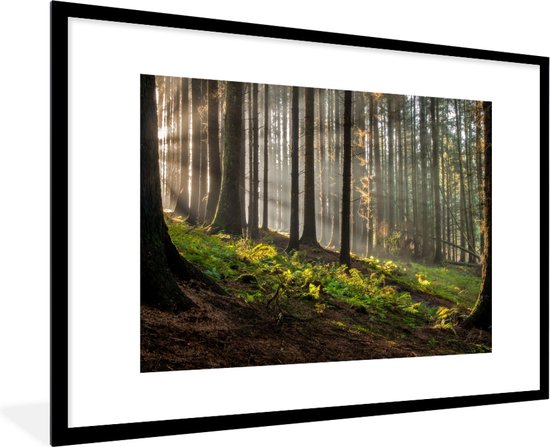 Fotolijst incl. Poster - Zon - Takken - Bomen - Bos - Natuur - 90x60 cm - Posterlijst