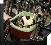 KitchenYeah® Inductie beschermer 59x51 cm - Jack Russel hond in een fietsmand - Kookplaataccessoires - Afdekplaat voor kookplaat - Inductiebeschermer - Inductiemat - Inductieplaat mat