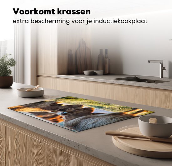 KitchenYeah® Inductie beschermer 78x52 cm - Schotse Hooglanders - Dieren - Zon - Kookplaataccessoires - Afdekplaat voor kookplaat - Inductiebeschermer - Inductiemat - Inductieplaat mat