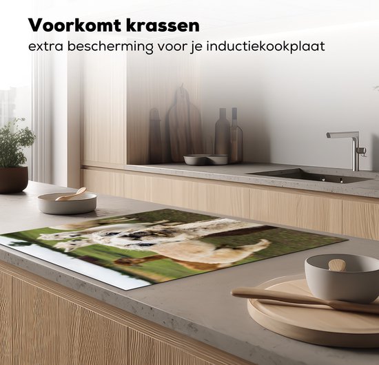 KitchenYeah® Inductie beschermer 78x78 cm - Lama - Selfie - Gras - Kookplaataccessoires - Afdekplaat voor kookplaat - Inductiebeschermer - Inductiemat - Inductieplaat mat
