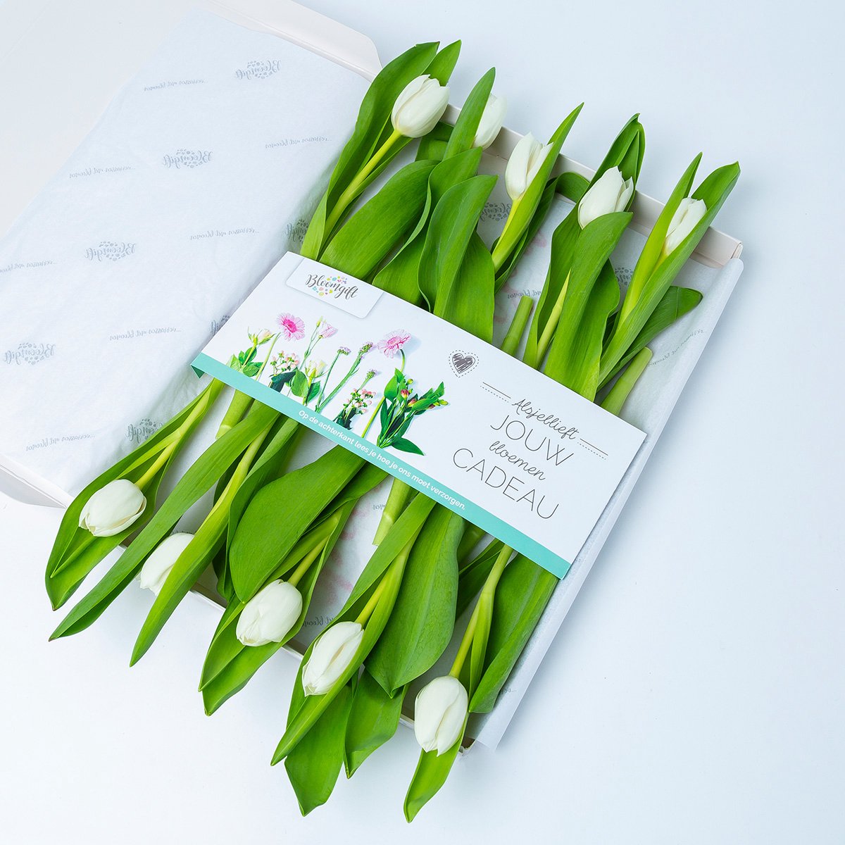 BloomGift | Brievenbus bloemen | Witte tulpen | 100% Vers | 10 stelen