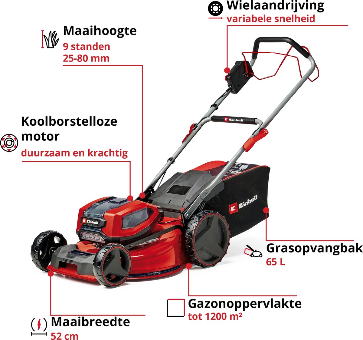 Einhell Professional Accu Grasmaaier GP-CM 36/52 S BL Li Kit - Power X-Change - 36 V/Li-ion - Maaibreedte: 52 cm - Aanbevolen gazonoppervlakte: tot 1200 m² - 65 L opvangzak - Maaihoogte: 25-80 mm - Incl. 4x 5.2 Ah Accu en 2x DUO-lader – foto 2