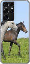Geschikt voor Samsung Galaxy S21 Ultra hoesje - Paarden - Dieren - Gras - Siliconen Telefoonhoesje