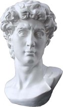 David Head, gedeeltelijke replica van het volledige standbeeld van Michelangelo's David