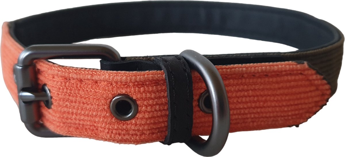 51 Degrees North Milano Hondenhalsband - Corduroy - Kaki / Oranje - Breedte: 20 mm - Nekomtrek: 36 - 45 cm (GELIEVE ALVORENS BESTELLEN OPMETEN)