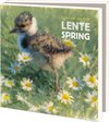 Lente, Elwin van der Kolk, Vogelbescherming, bruin