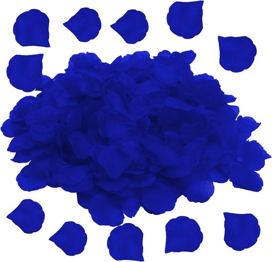 729203_6