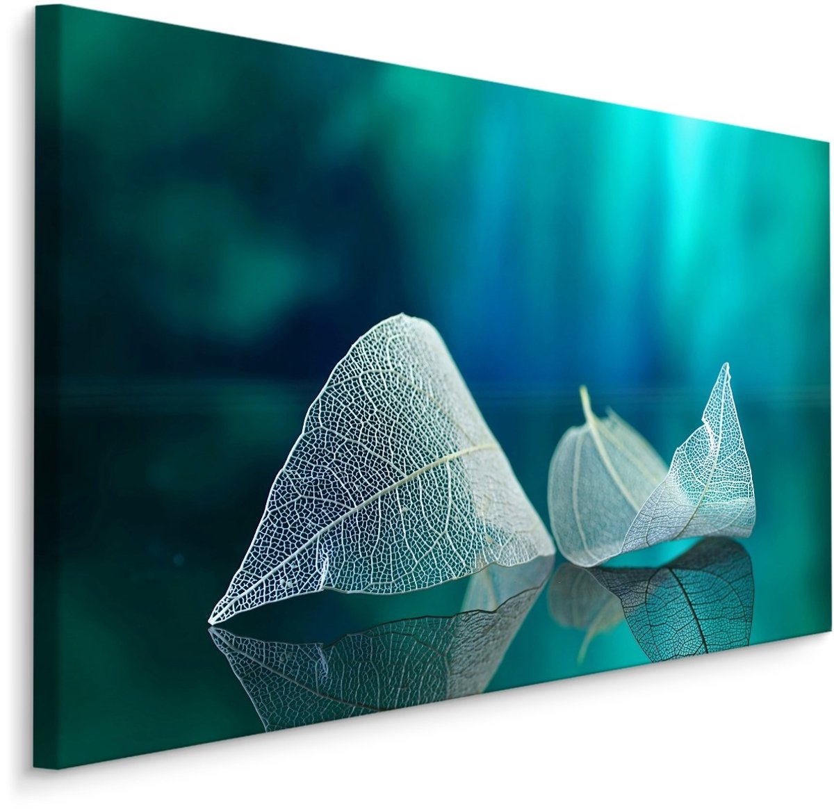 karo-art Schilderij - Skelet van een blad, premium print Multikleur