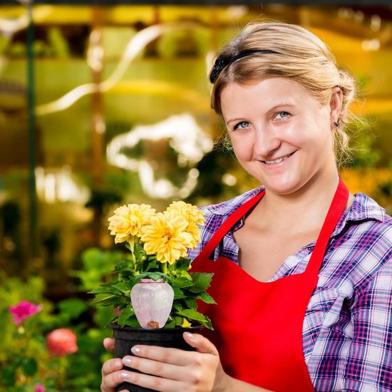 Irrigatieballen, 500 ml voor planten, automatische plantenirrigatie