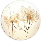 WallCircle - Wandcirkel ⌀ 30 - Droogbloemen - Beige - Planten - Wit - Ronde schilderijen woonkamer - Wandbord rond - Muurdecoratie cirkel - Kamer decoratie binnen - Wanddecoratie muurcirkel - Woonaccessoires