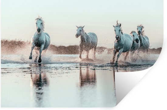Muurstickers - Sticker Folie - Wilde witte paarden galopperen door het water in Camargue - 120x80 cm - Plakfolie - Muurstickers Kinderkamer - Zelfklevend Behang - Zelfklevend behangpapier - Stickerfolie