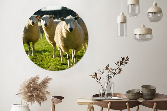 WallCircle - Wall Circle - Wall Circle Indoor - Moutons - Animaux - Laine - 150x150 cm - Décoration murale - Peintures Ronds