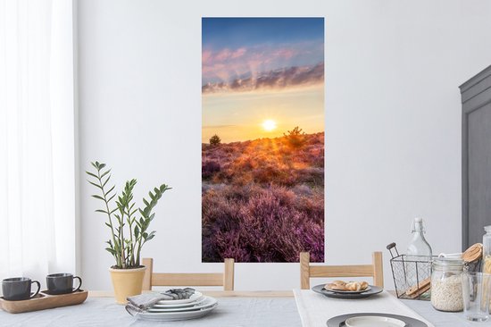 Heather fleurissant pendant le coucher du soleil aux Nederland