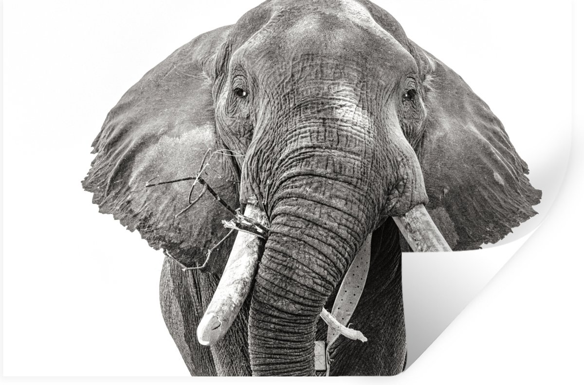 Muurstickers - Sticker Folie - Olifant - Portret - Dieren - Zwart wit - 30x20 cm - Plakfol