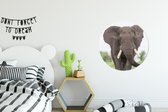 Wall Circle - Indoor Wall Circle - Oncoming Elephant - ⌀ 60 cm - Décoration murale - Peintures ronds