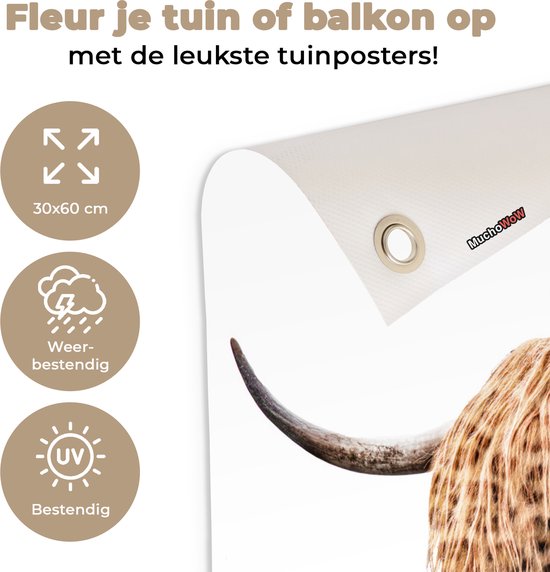 Tuinposter 30x60 cm - Tuindecoratie Schotse hooglander - Panter - Wit - Poster voor in de tuin - Buiten decoratie - Schutting tuinschilderij - Tuindoek muurdecoratie - Wanddecoratie balkondoek