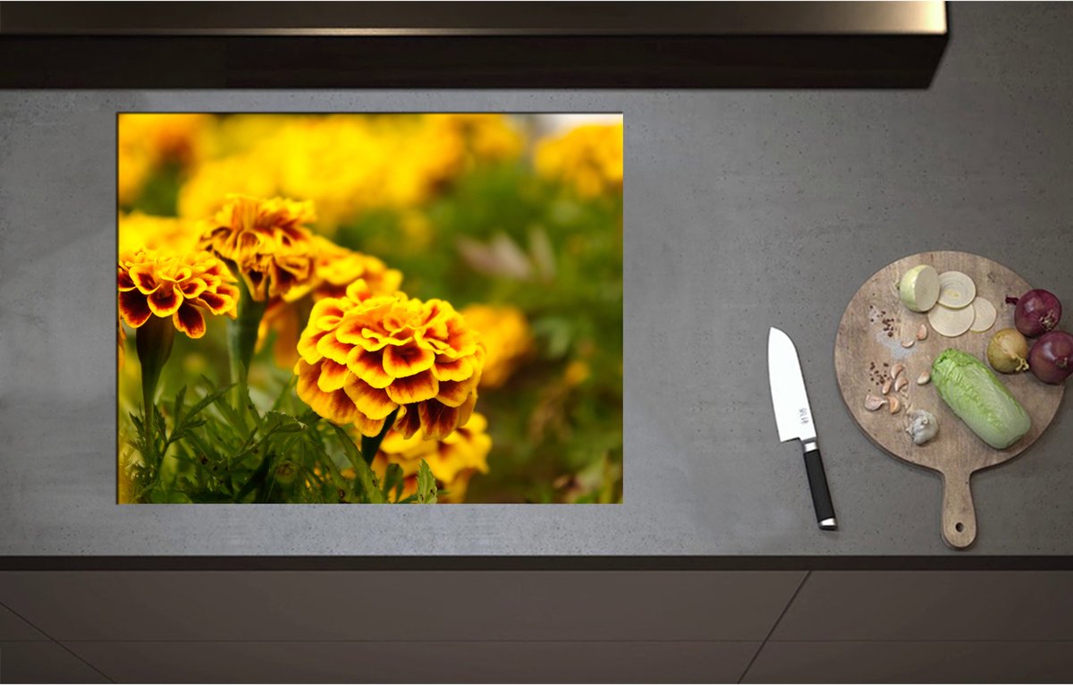 Inductieplaat Beschermer - Bloemenveld Vol Gele Afrikaantjes - 71x55 cm - 2 mm Dik - Inductie Beschermer - Bescherming Inductiekookplaat - Kookplaat Beschermer van Wit Vinyl