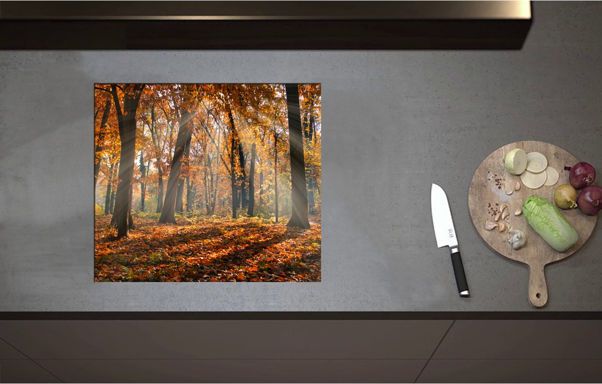 Inductieplaat Beschermer - Bos in de Herfst met Zonnestralen door de Bomen - 57x50 cm - 2 mm Dik - Inductie Beschermer - Bescherming Inductiekookplaat - Kookplaat Beschermer van Wit Vinyl