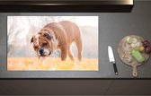 Inductieplaat Beschermer - Booskijkende Engelse Bulldog in het Gras - 90x55 cm - 2 mm Dik - Inductie Beschermer - Bescherming Inductiekookplaat - Kookplaat Beschermer van Wit Vinyl