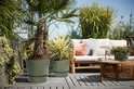Een terras met houten vlonders, een loungeset, rotan bijzettafel en groene planten in groene potten.
