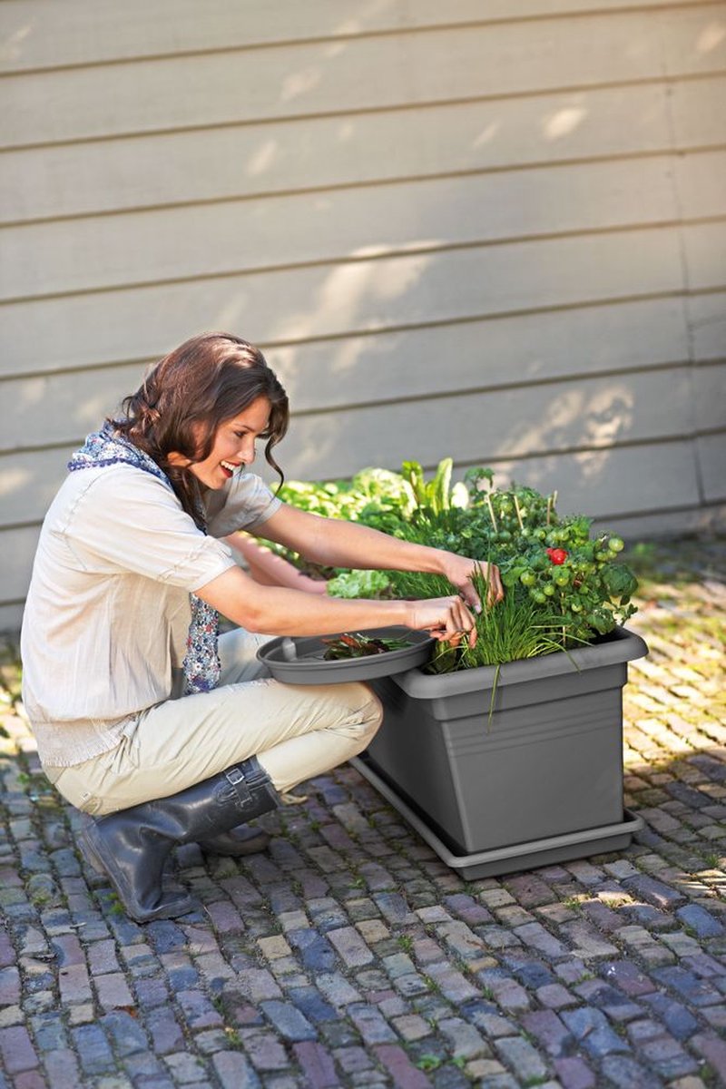 Elho Green Basics Garden Xxl 80 - Outdoor Planter