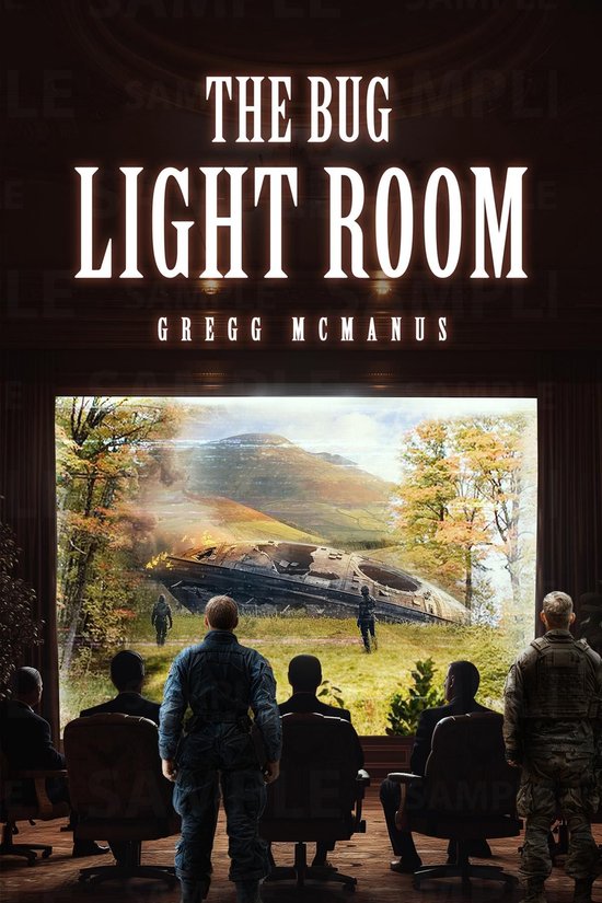 The Bug Light Room - cover