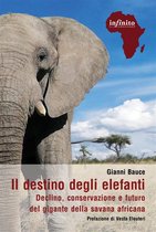Afriche - Il destino degli elefanti
