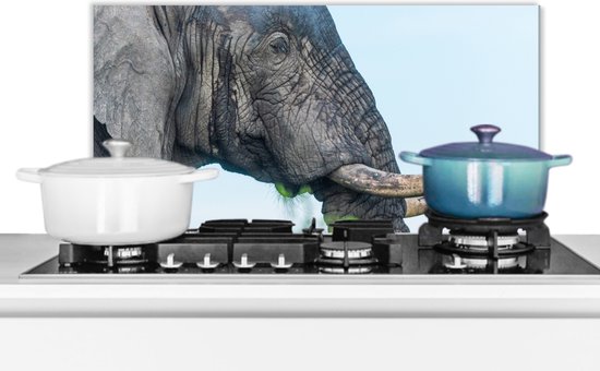 Spatscherm keuken 70x30 cm - Kookplaat achterwand Olifant - Dieren - Grijs - Natuur - Muurbeschermer - Spatwand fornuis - Hoogwaardig aluminium