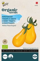 Buzzy Organic Tomaat Yellow Pearshaped BIO - Biologische Gele Peervormige Tomaatjes voor Kleurrijke Salades