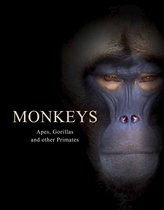 Animals- Monkeys